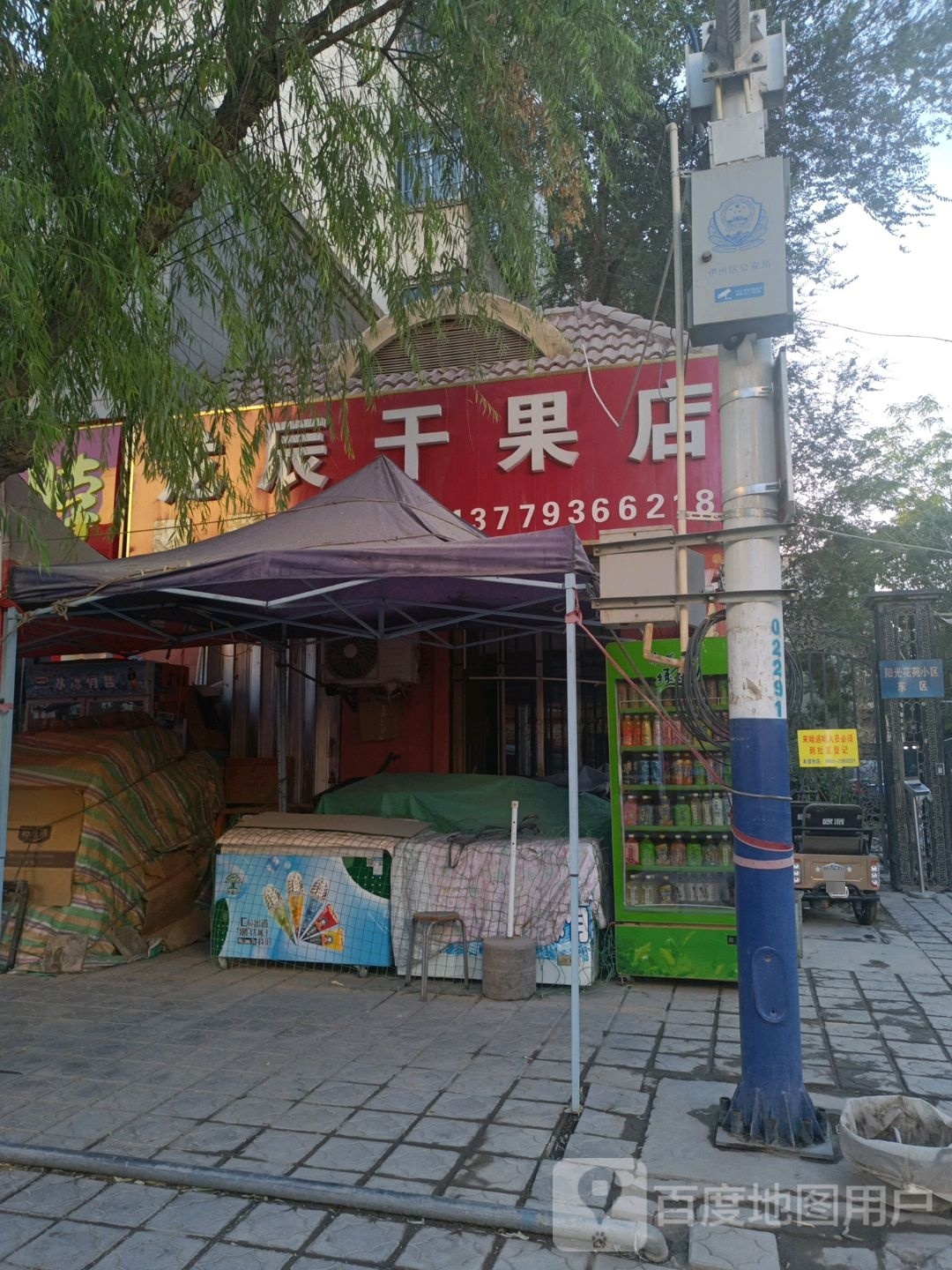 龙辰干果店