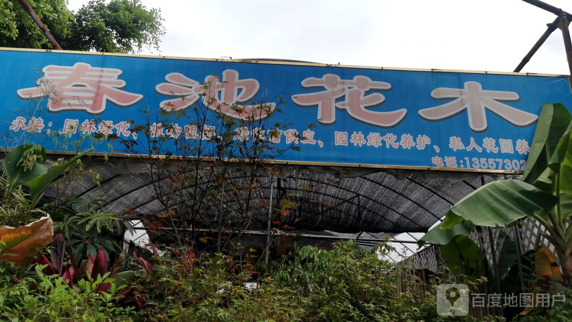 春池花木(南方花鸟市场店)