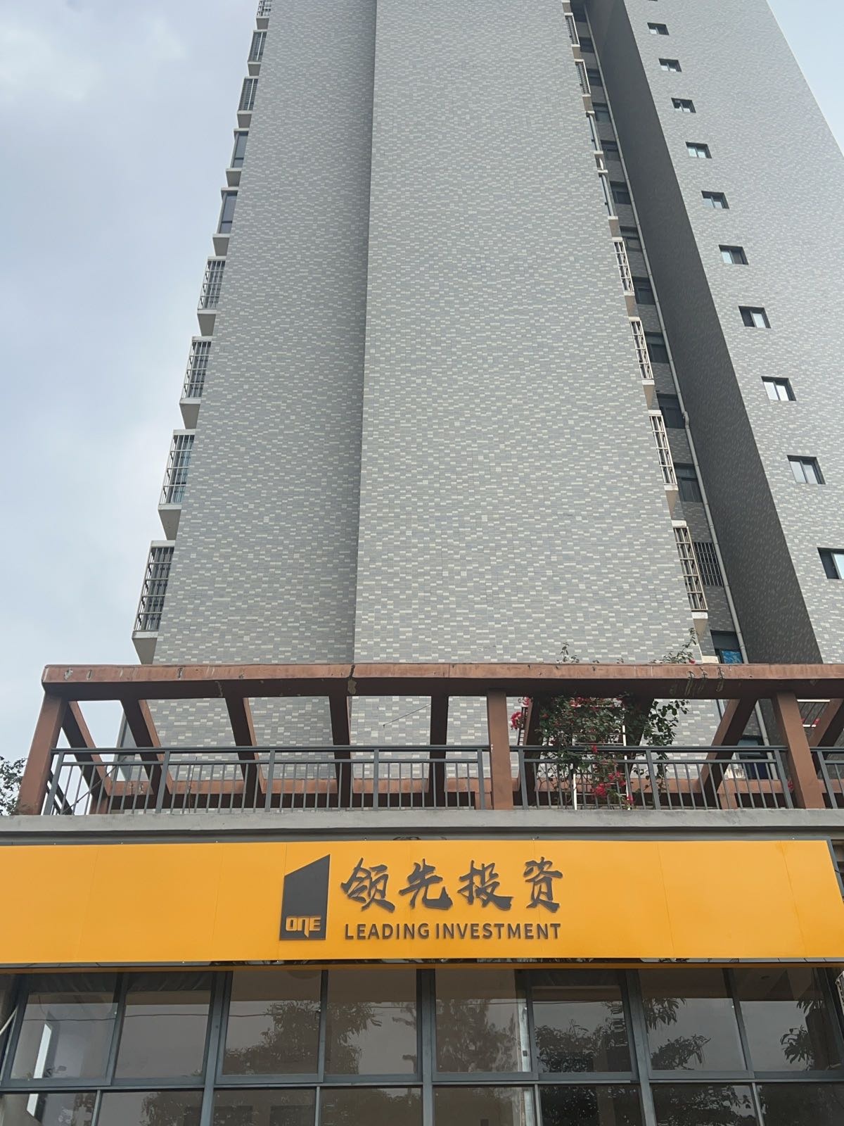 领先投资