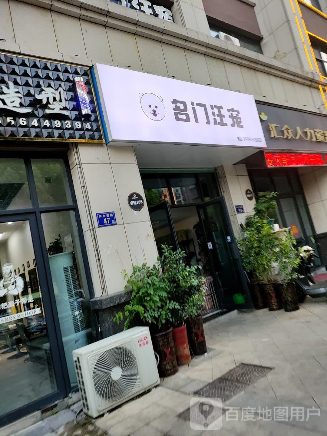名门汪宠