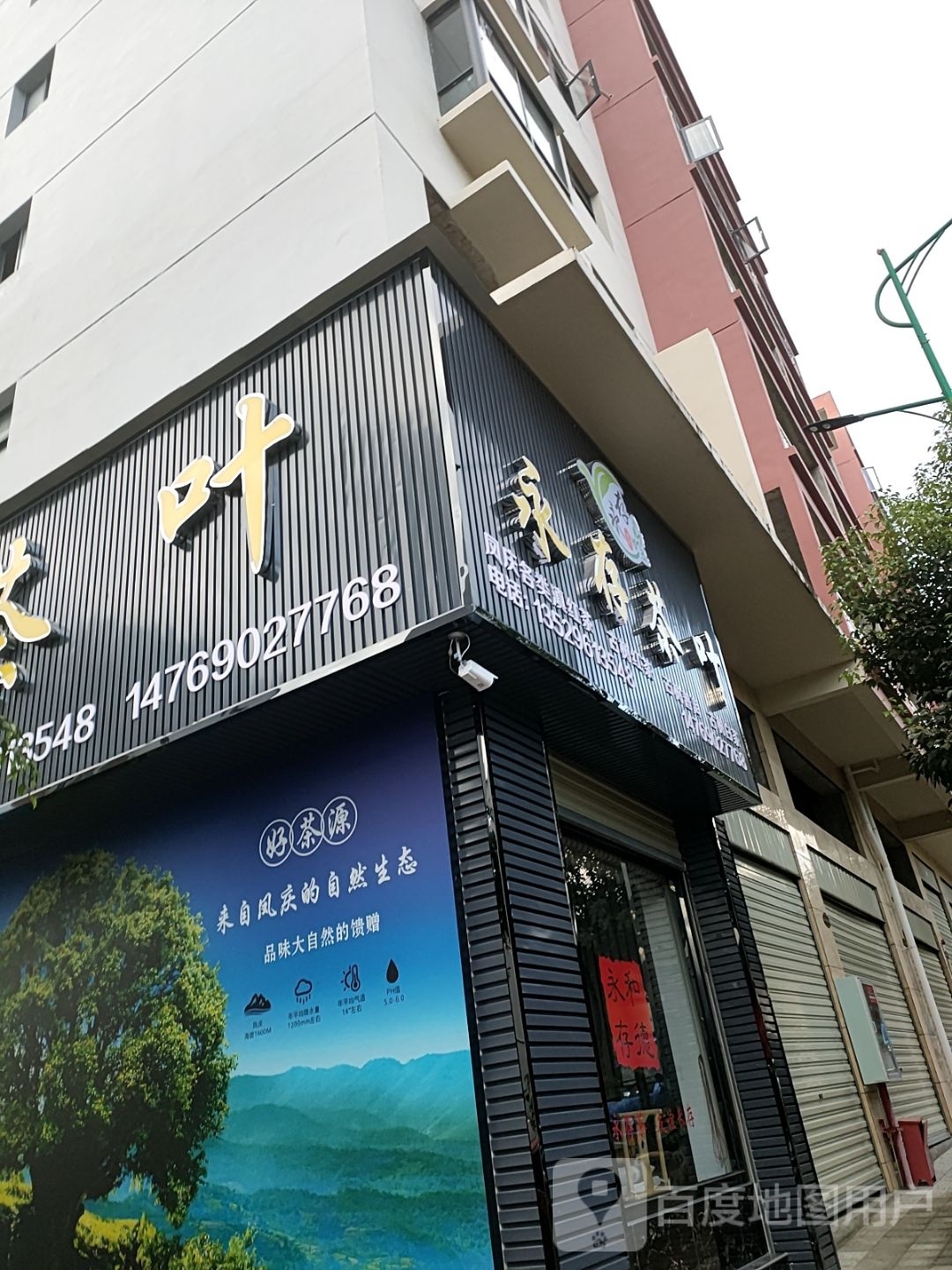 永存茶叶