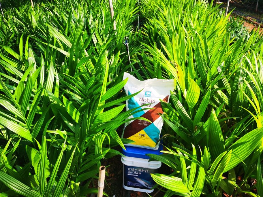 白沙海垦壹地旺农资有限公司