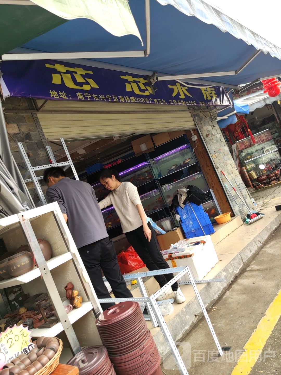 芯芯水族(广西花鸟交易市场店)