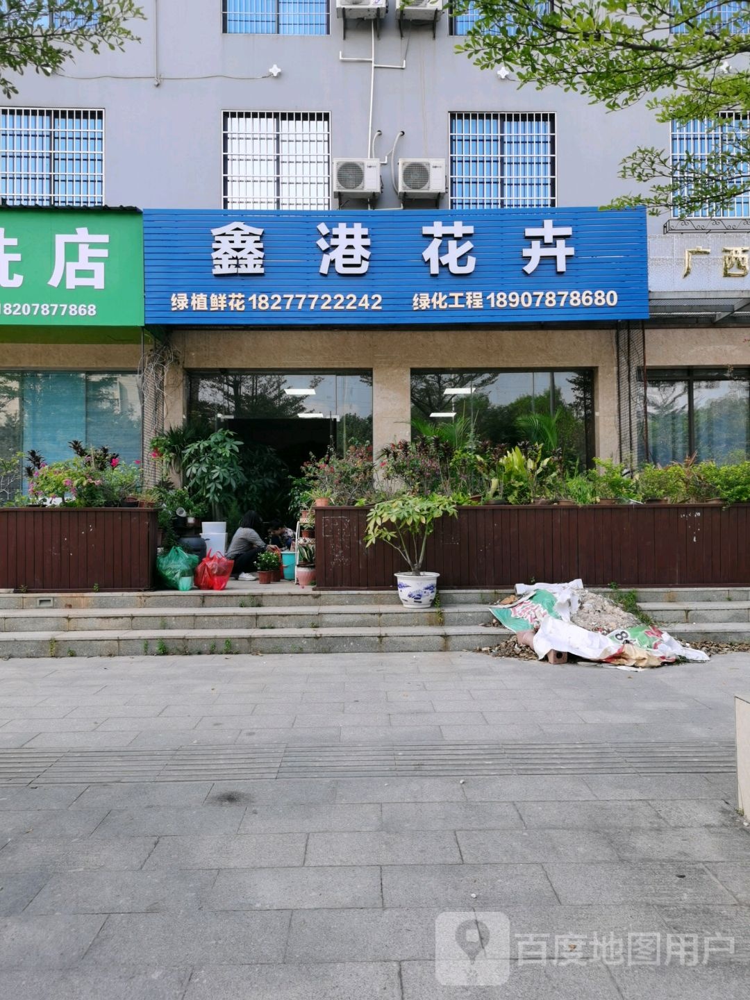 鑫港花卉(钦州港)