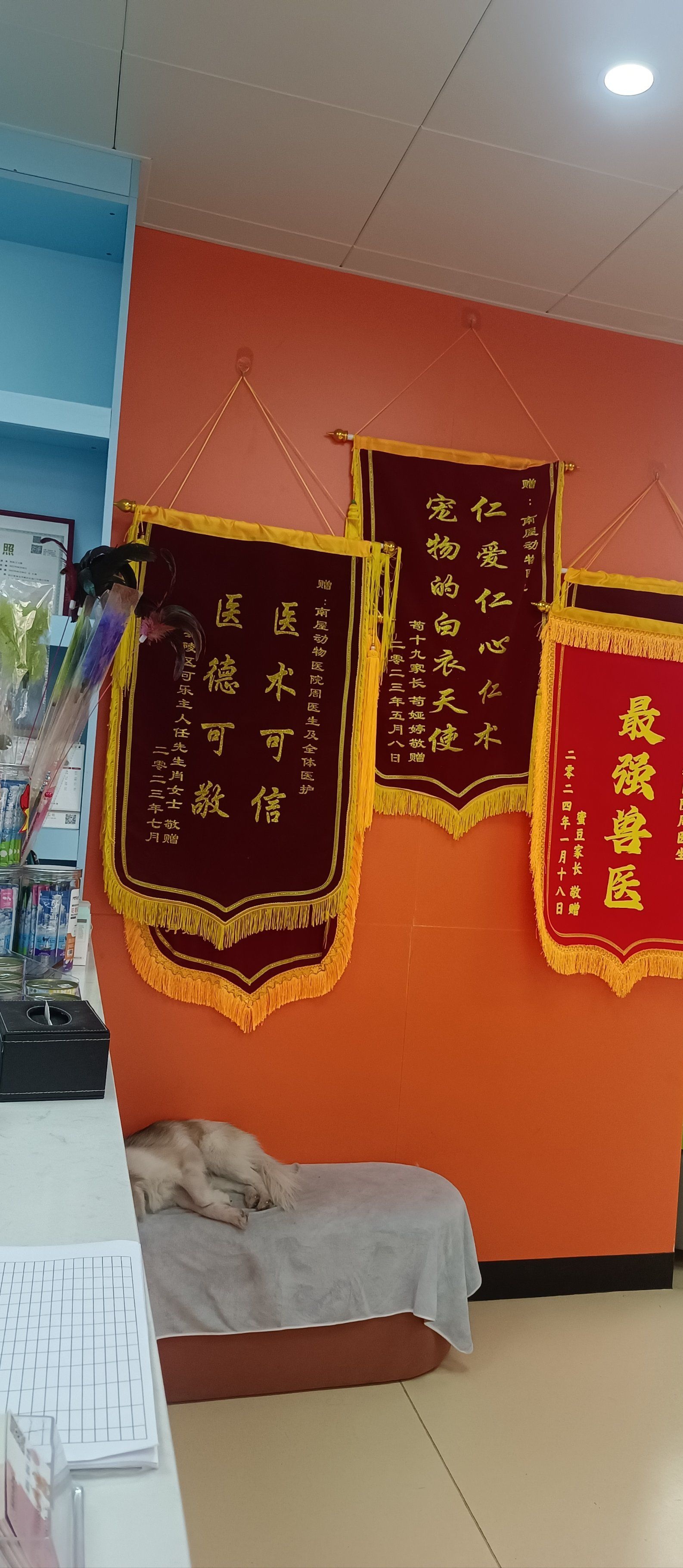 南屋动物医院