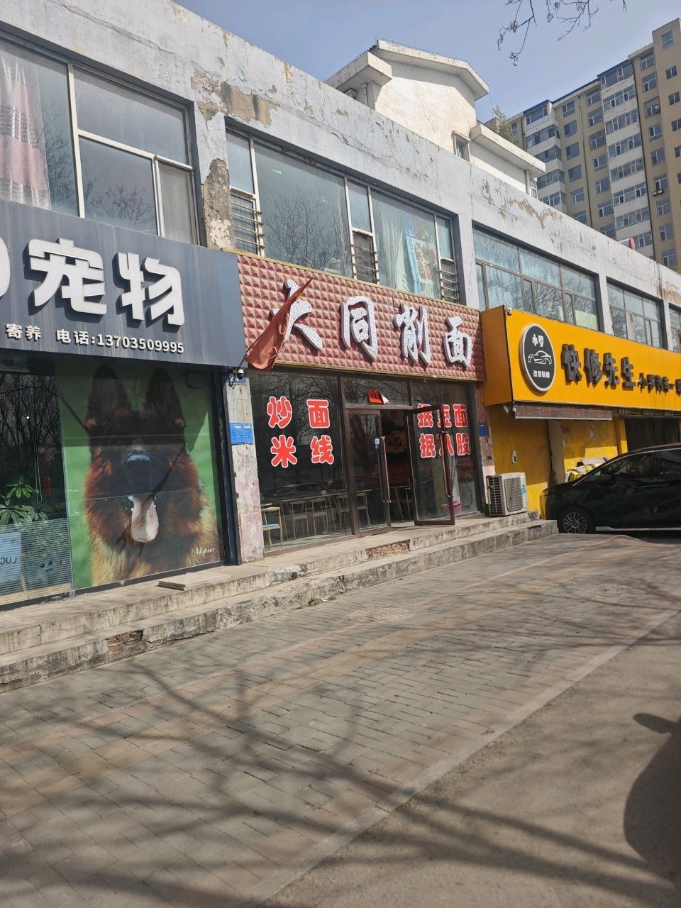 K-9宠物(山西朔州店)