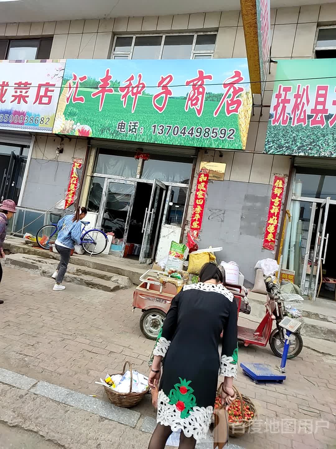 汉丰种子商店