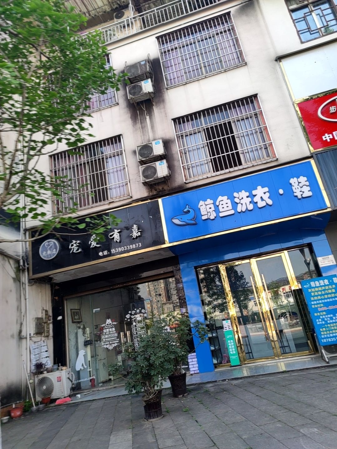 宠爱有嘉宠物店