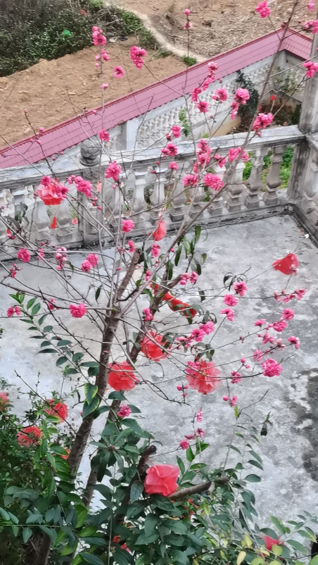 大庄葫芦天窗游泳场