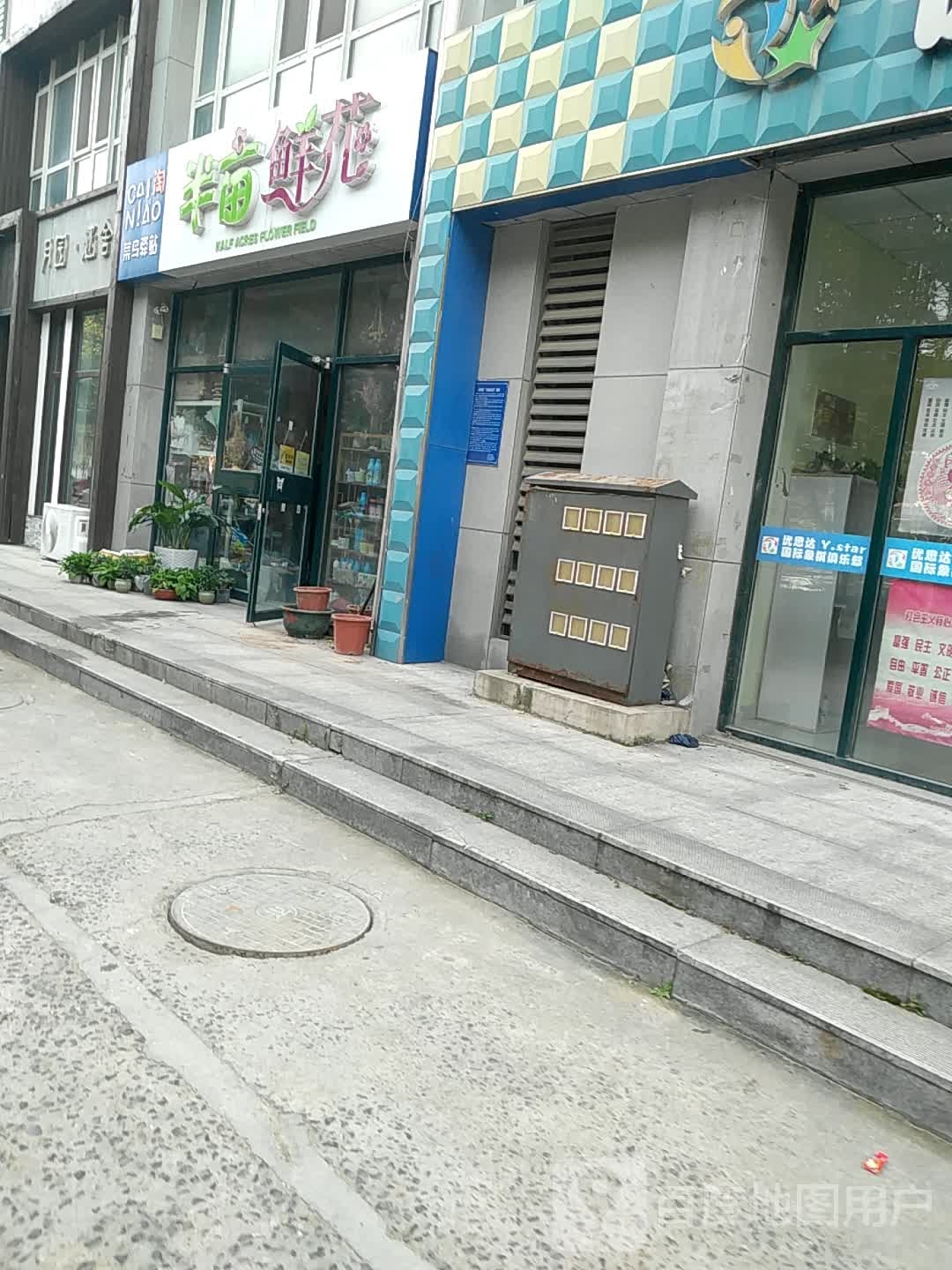 半亩鲜花