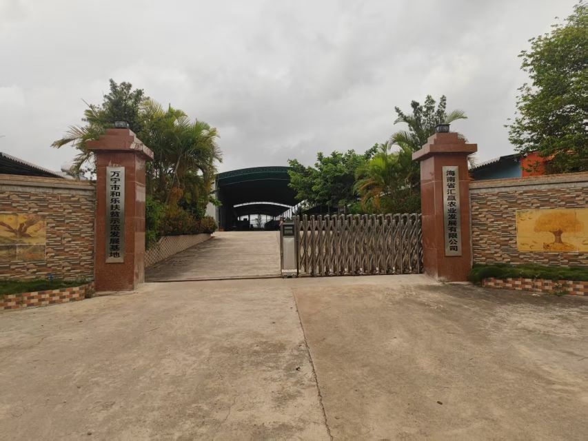 海南省汇赢农业发展有限公司