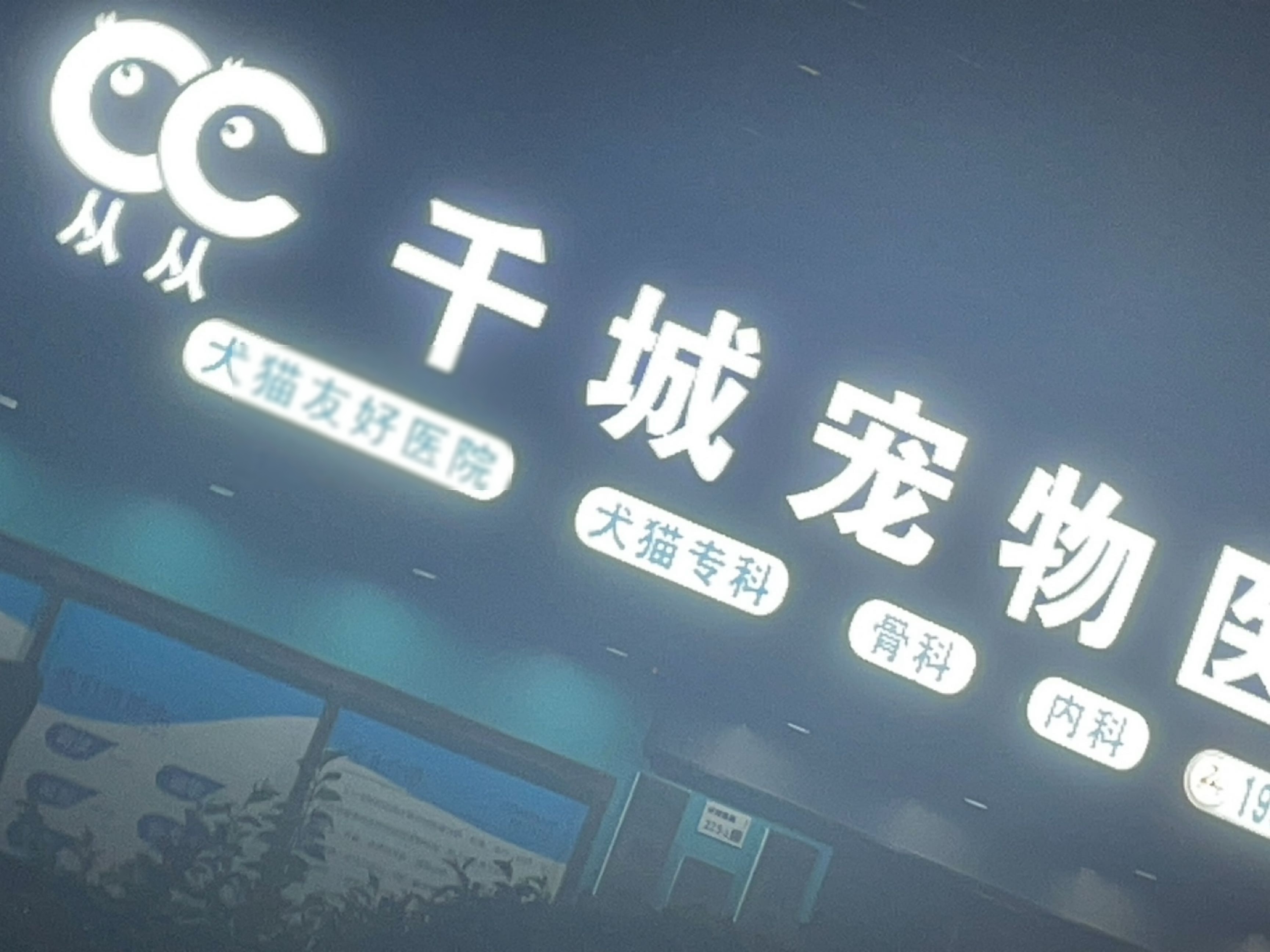 深圳从从宠物医院