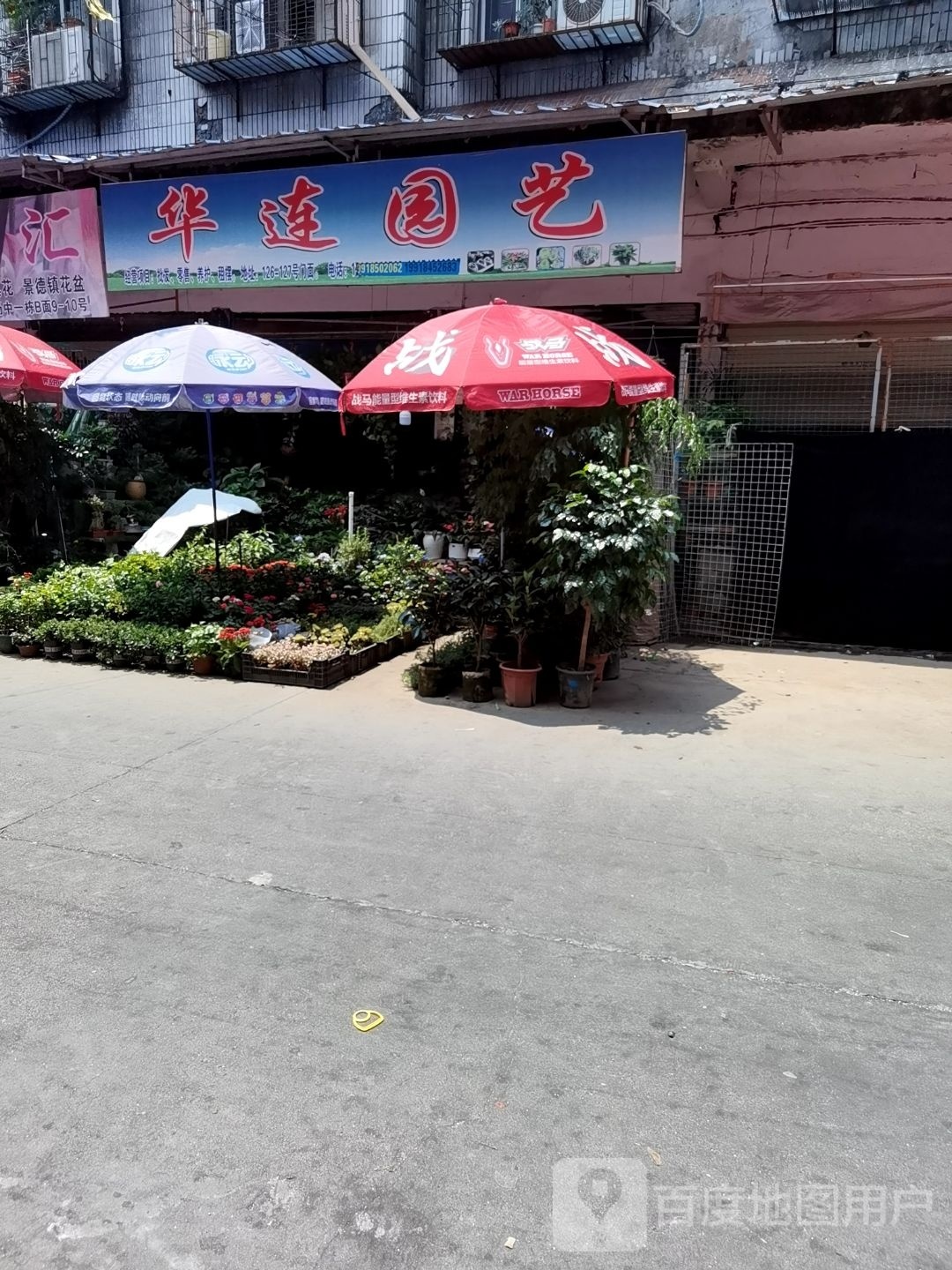 华连园艺