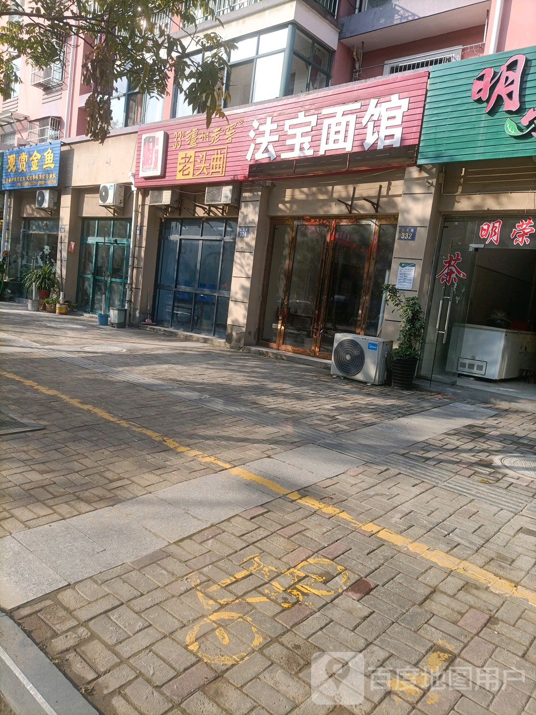 观赏金鱼