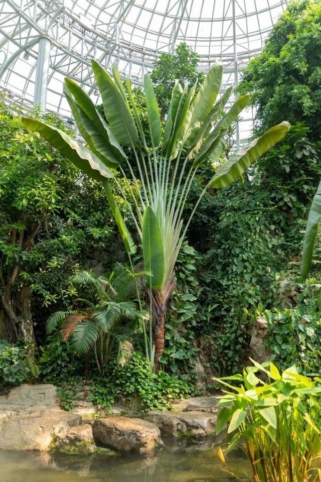 茶坊庙植物园