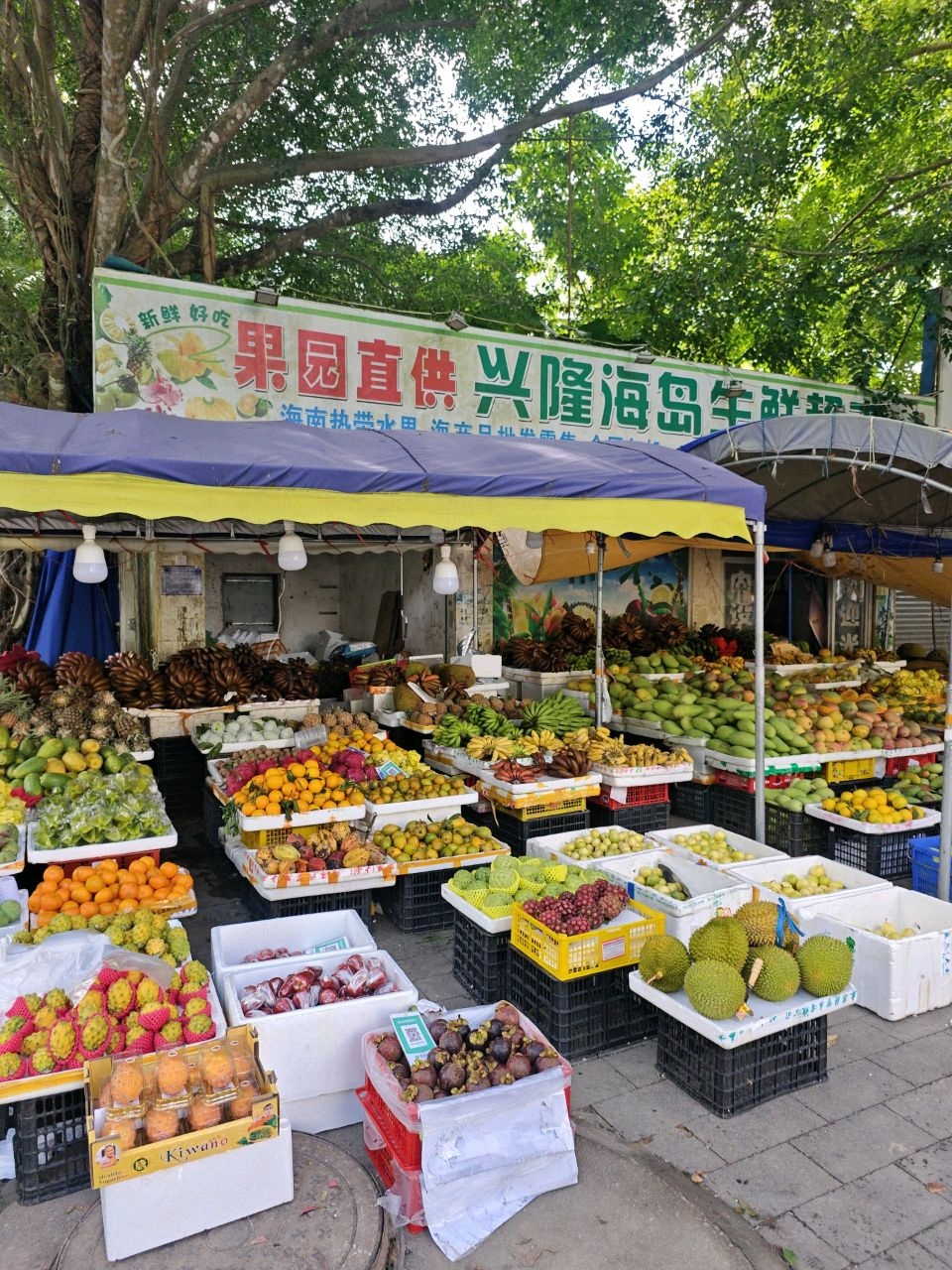 喜喜海南热带水果批发