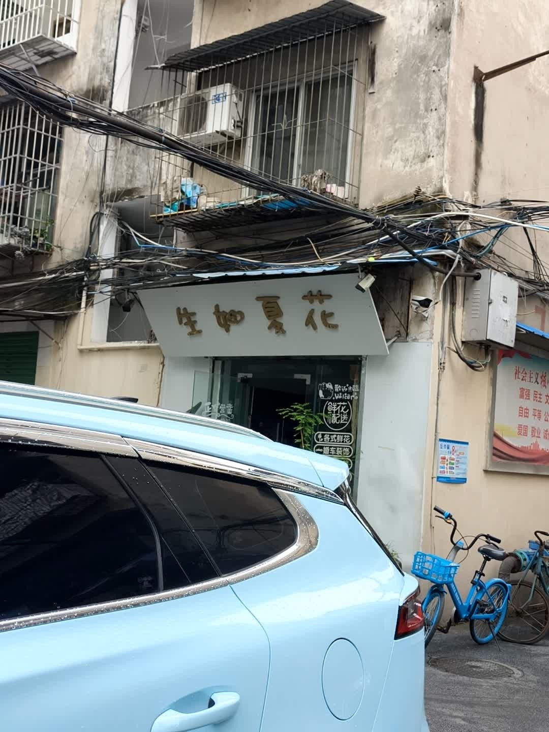 生如夏花