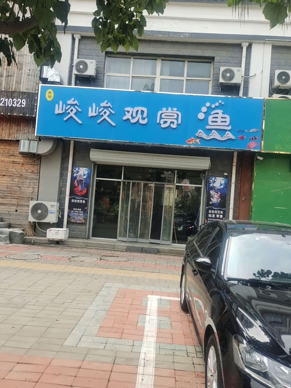 峻峻观赏鱼(天赐龙都店)