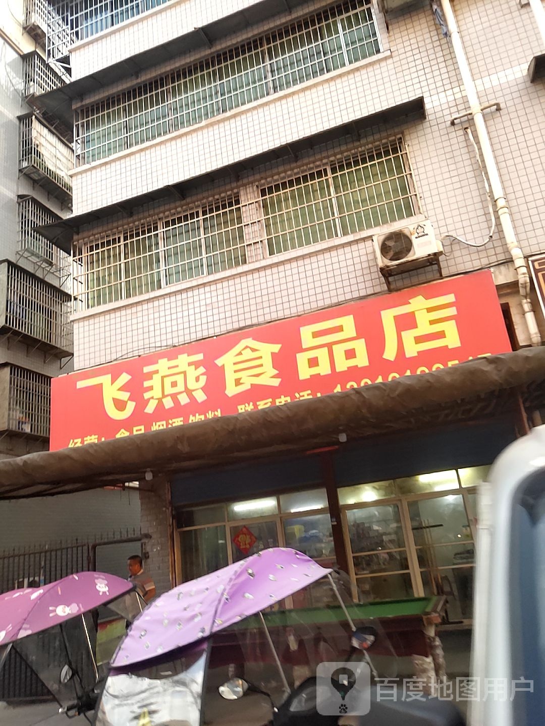 飞燕视频店