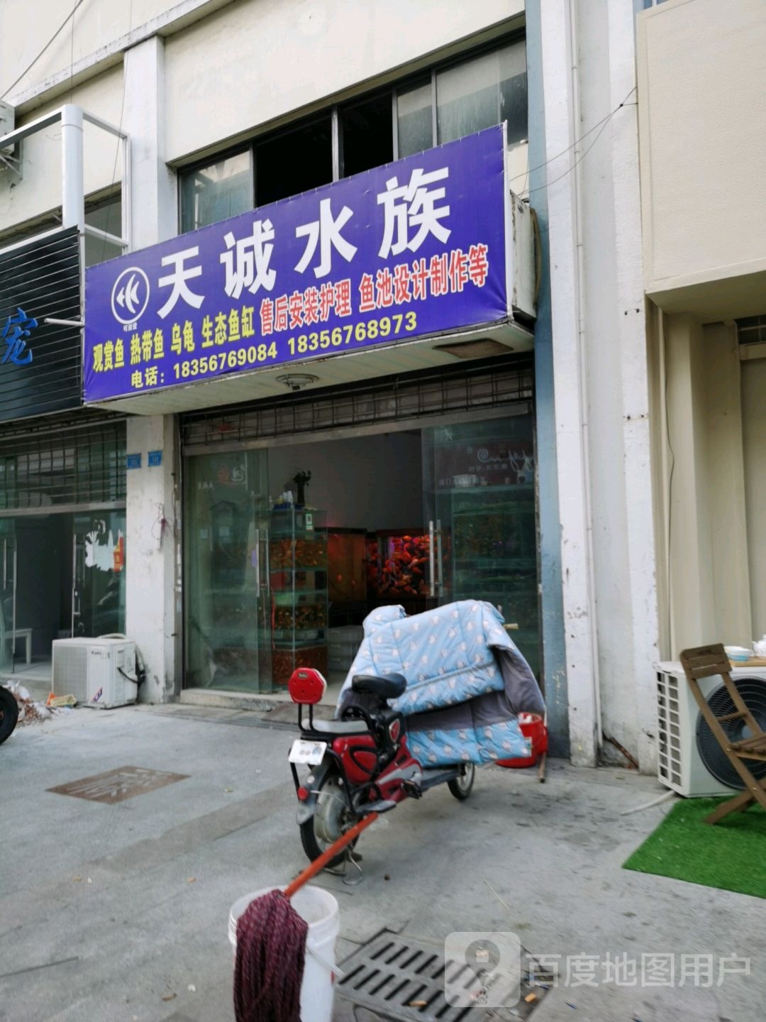 天诚水族博宇专卖店店