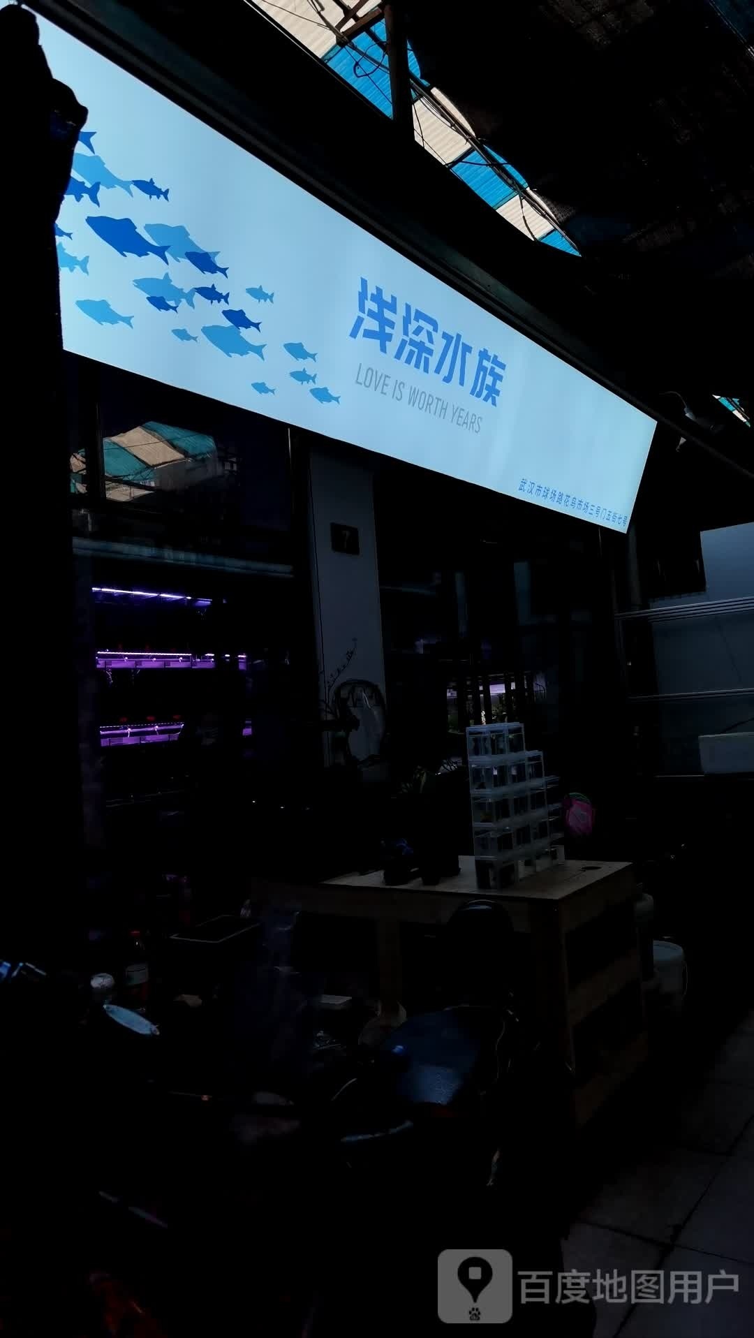 浅深水族