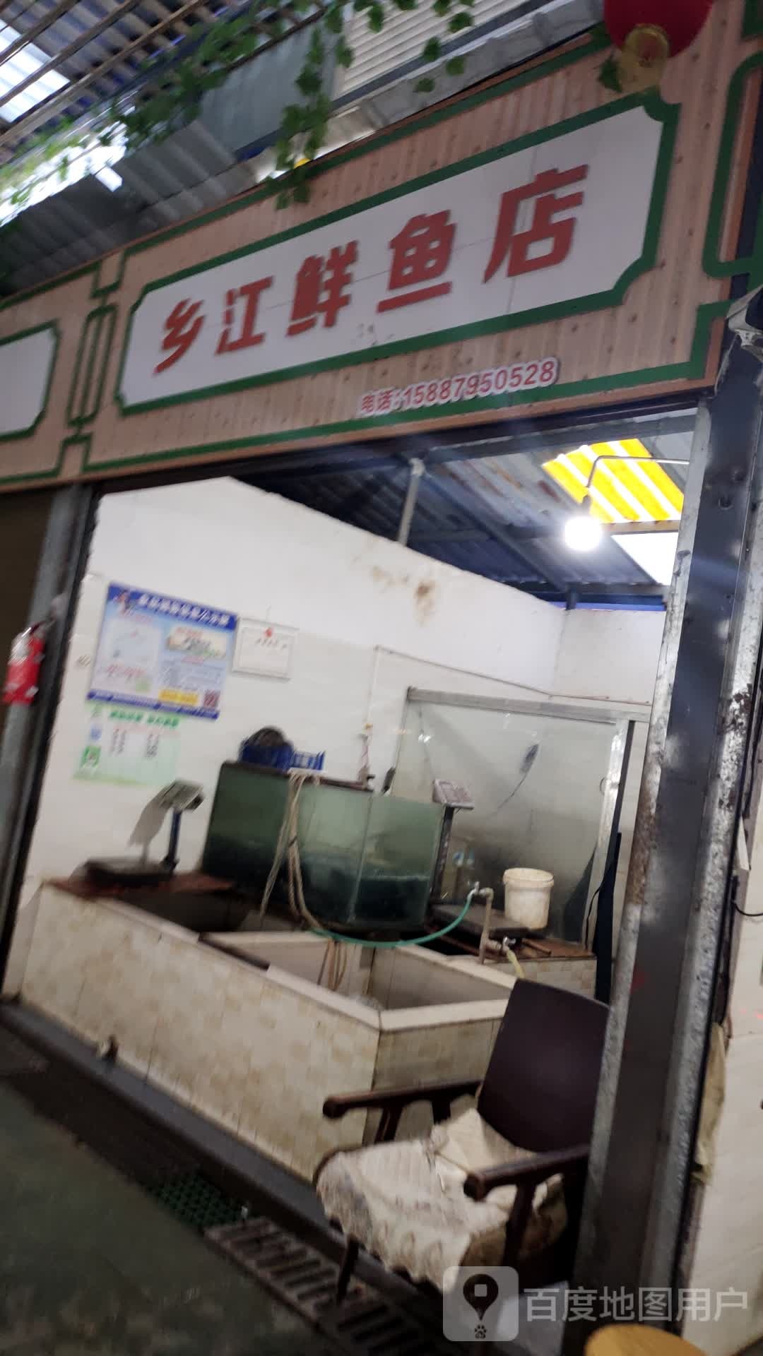 乡江鲜鱼店