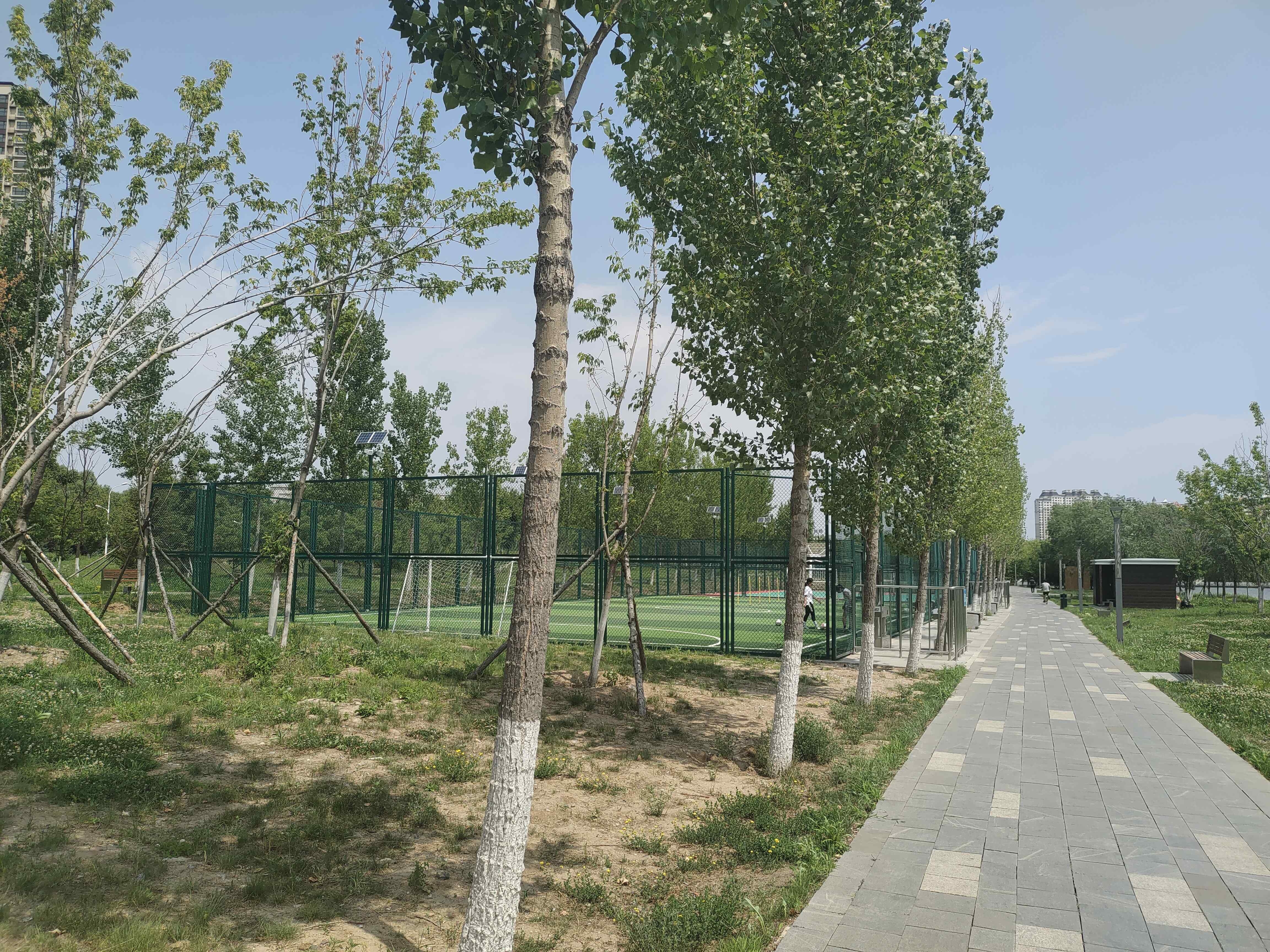 南溪湿地公园-足球场
