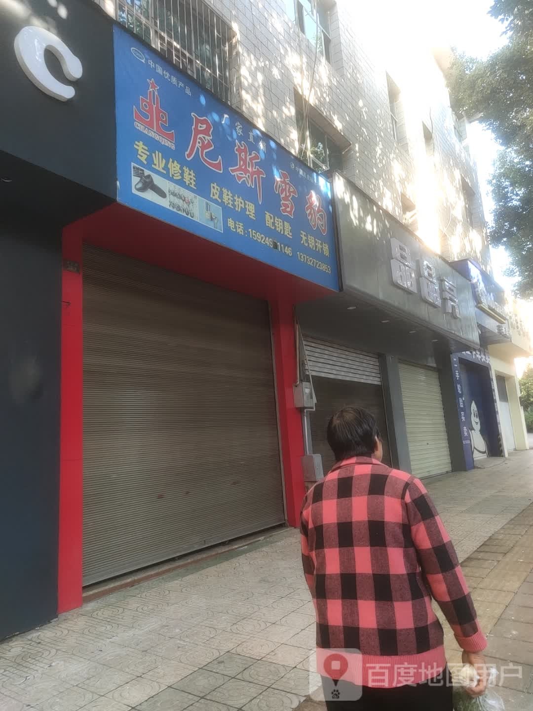 尼斯雪豹