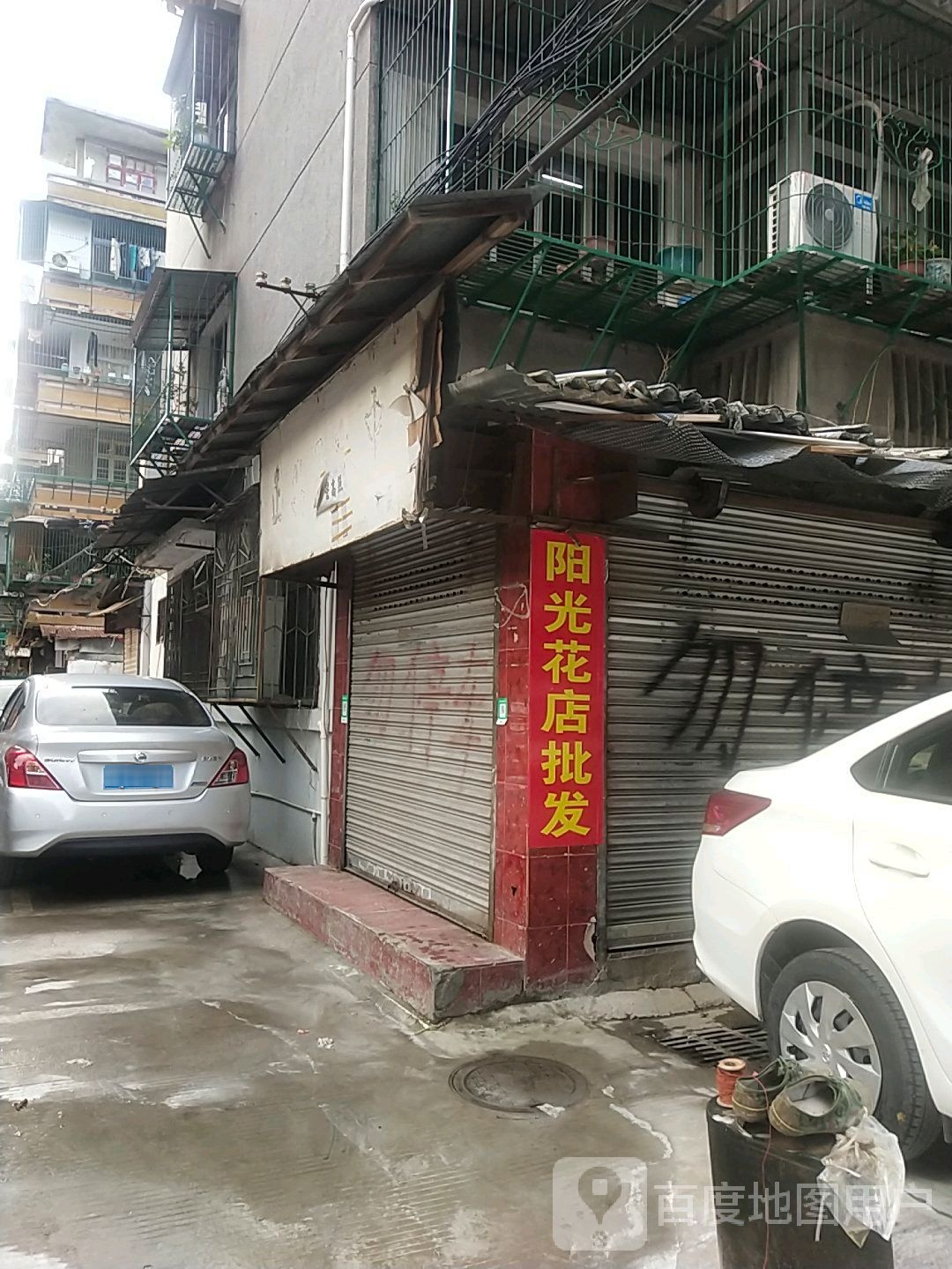 阳光花店批发