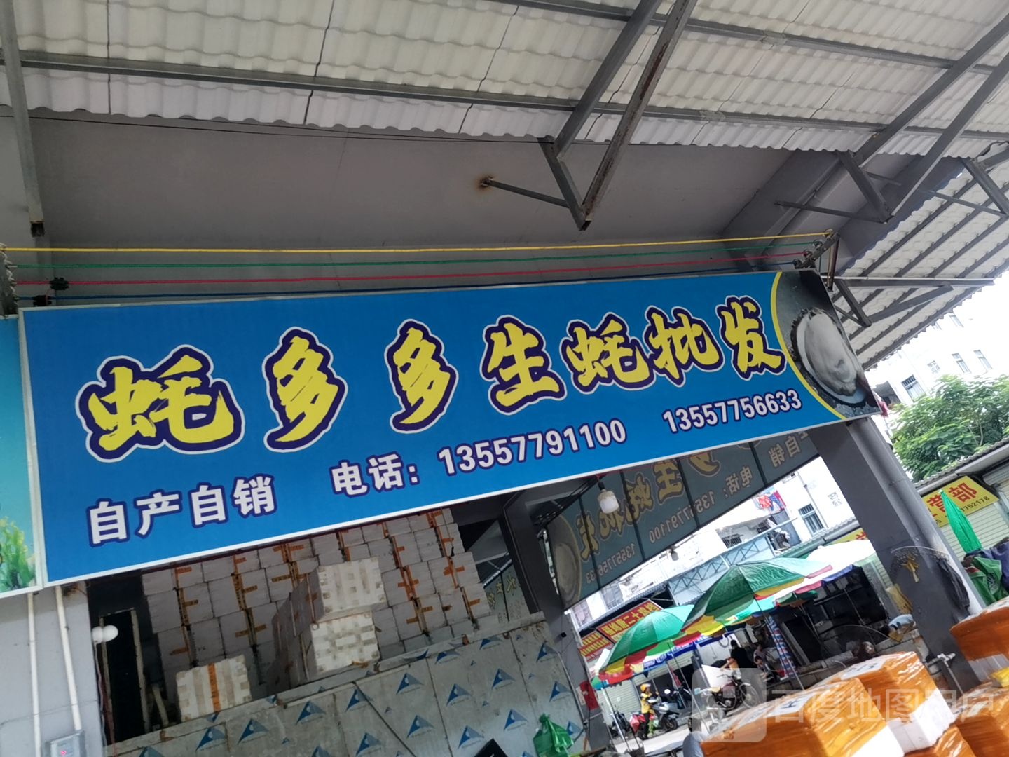蚝多多生蚝批发(鸿达市场店)