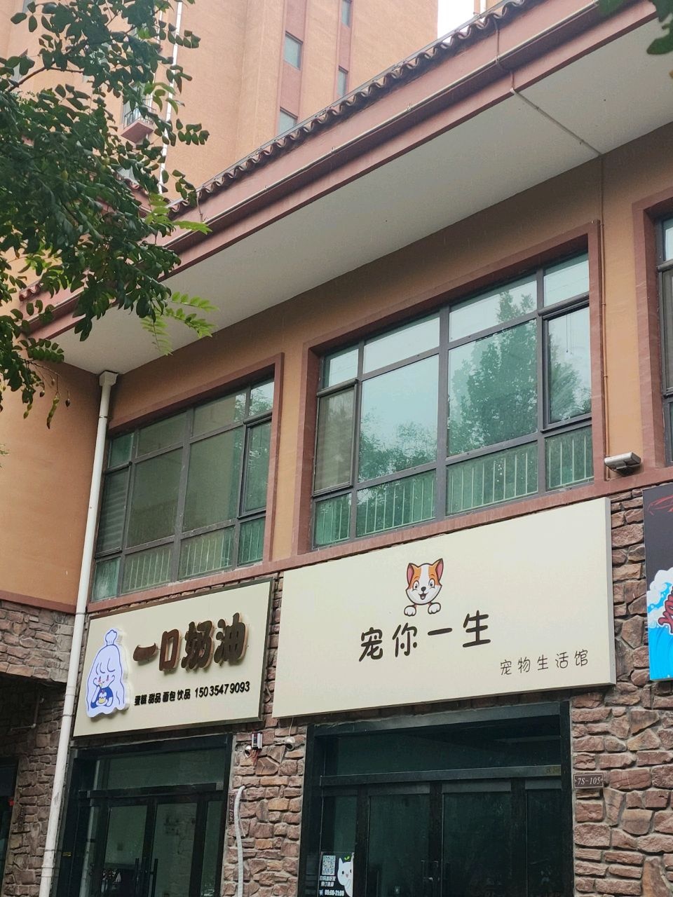 宠你一生宠物生活馆(花园西街店)