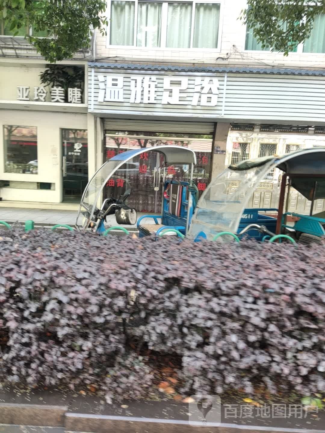 温雅足