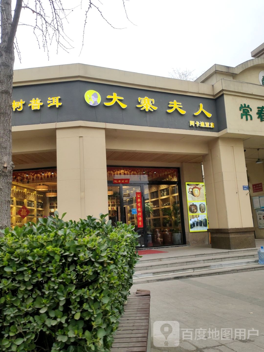 大寨夫人古树普洱(阿卡迪亚店)