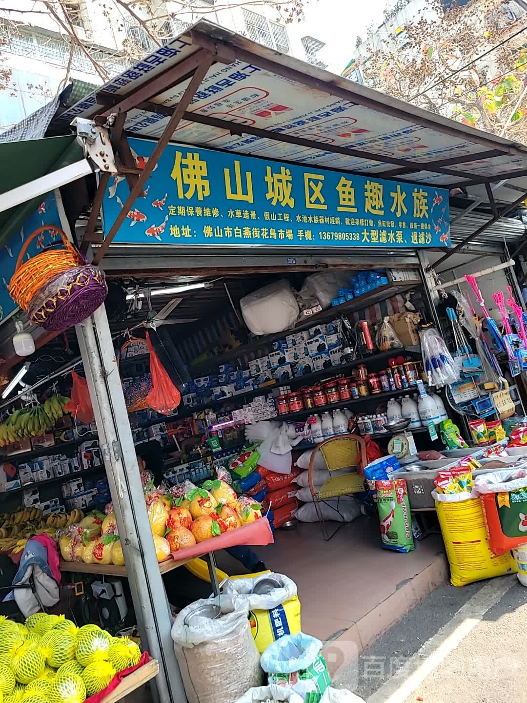 佛山城区鱼趣水族