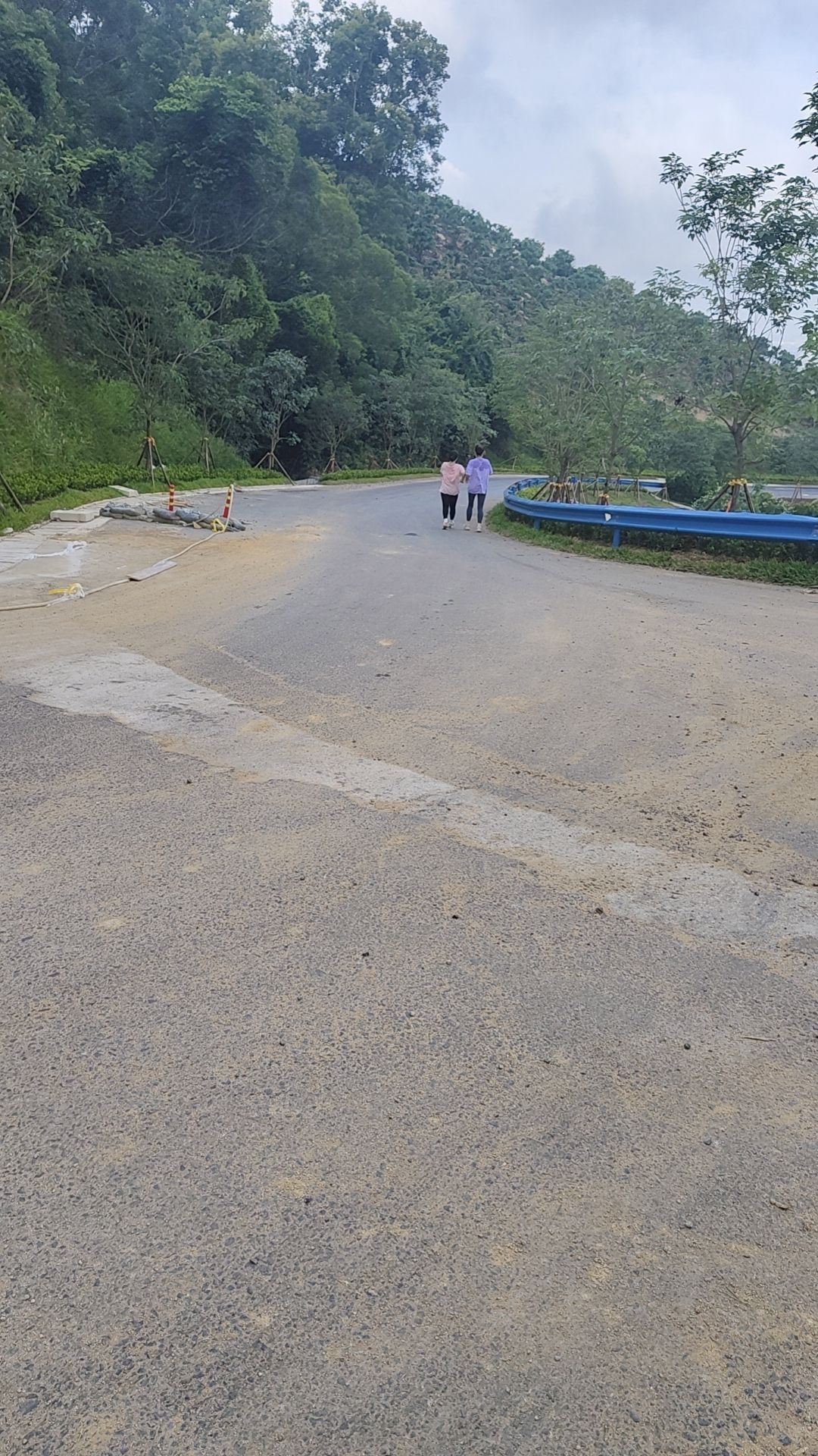 陵水热带林博园(大溪岭)