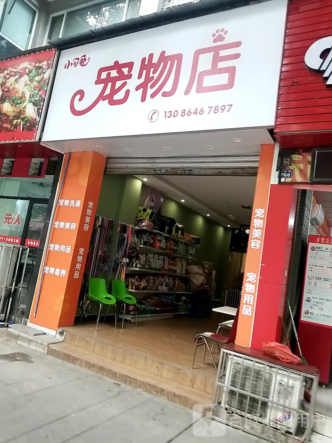 小可爱宠物店