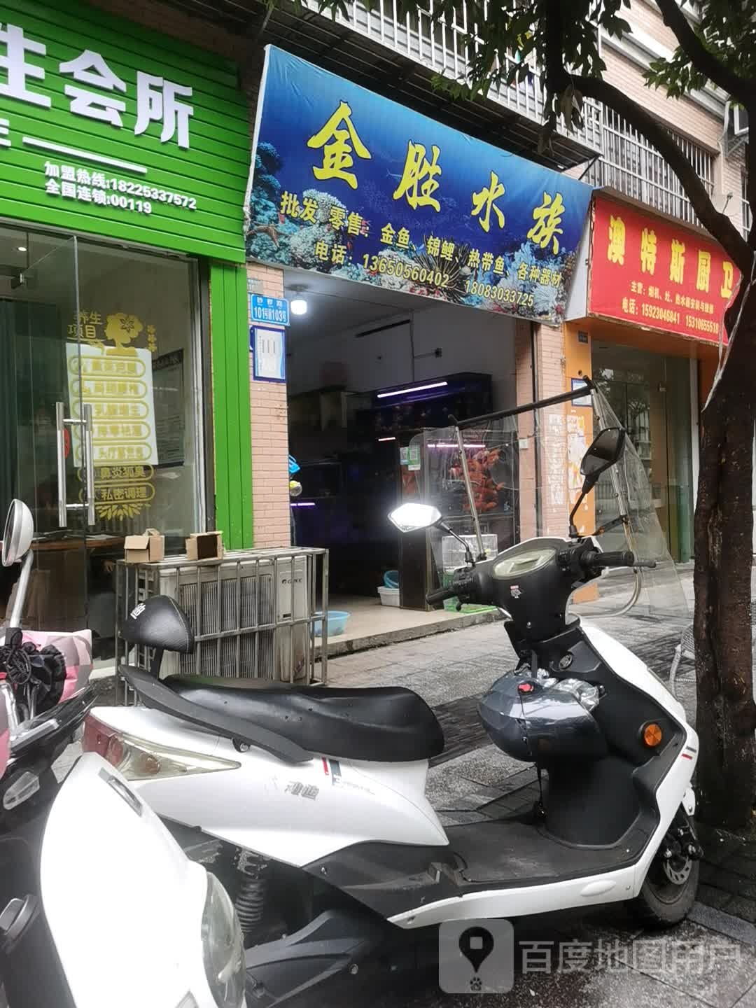 金升水族