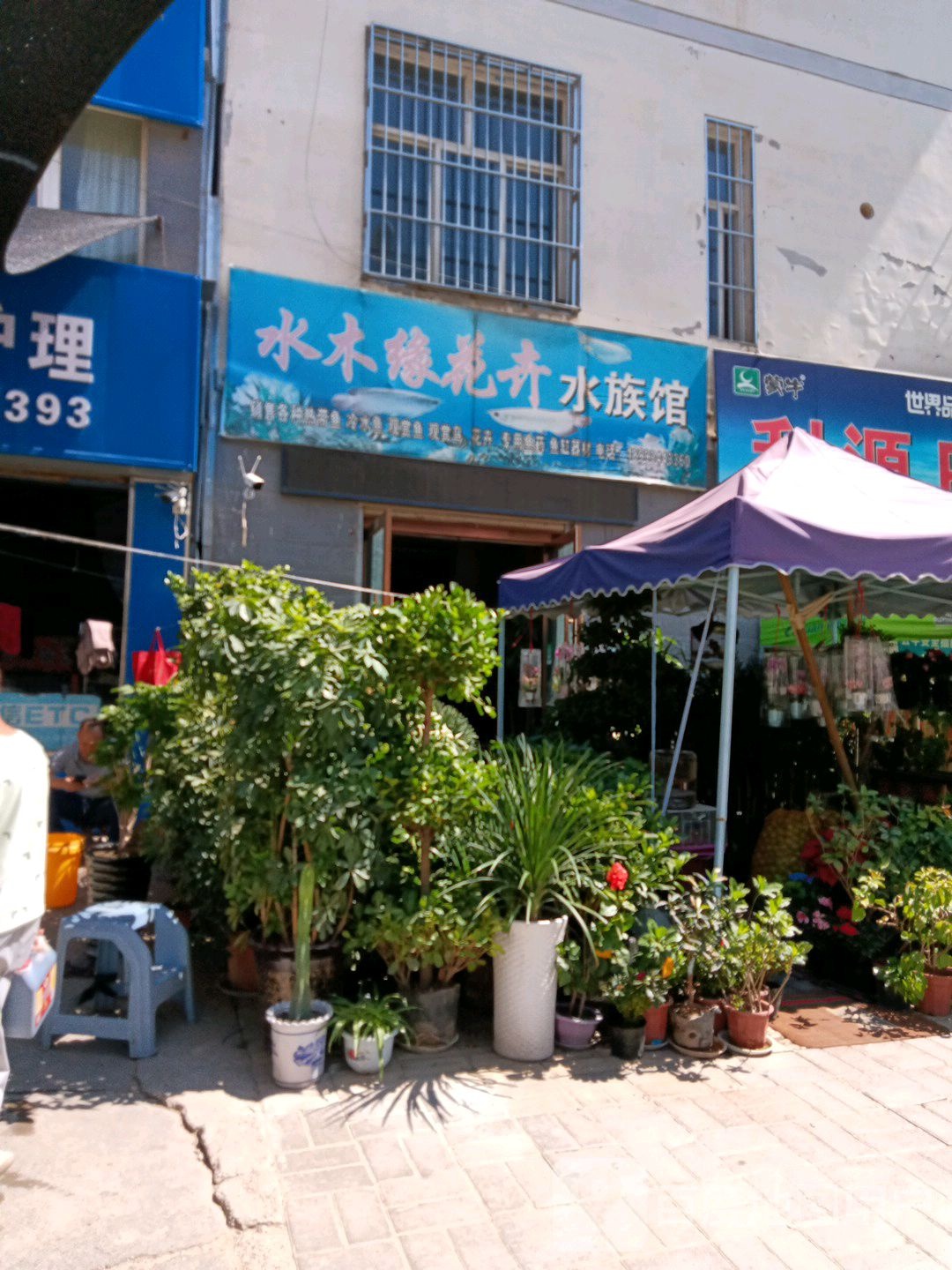 水木缘花卉水族馆