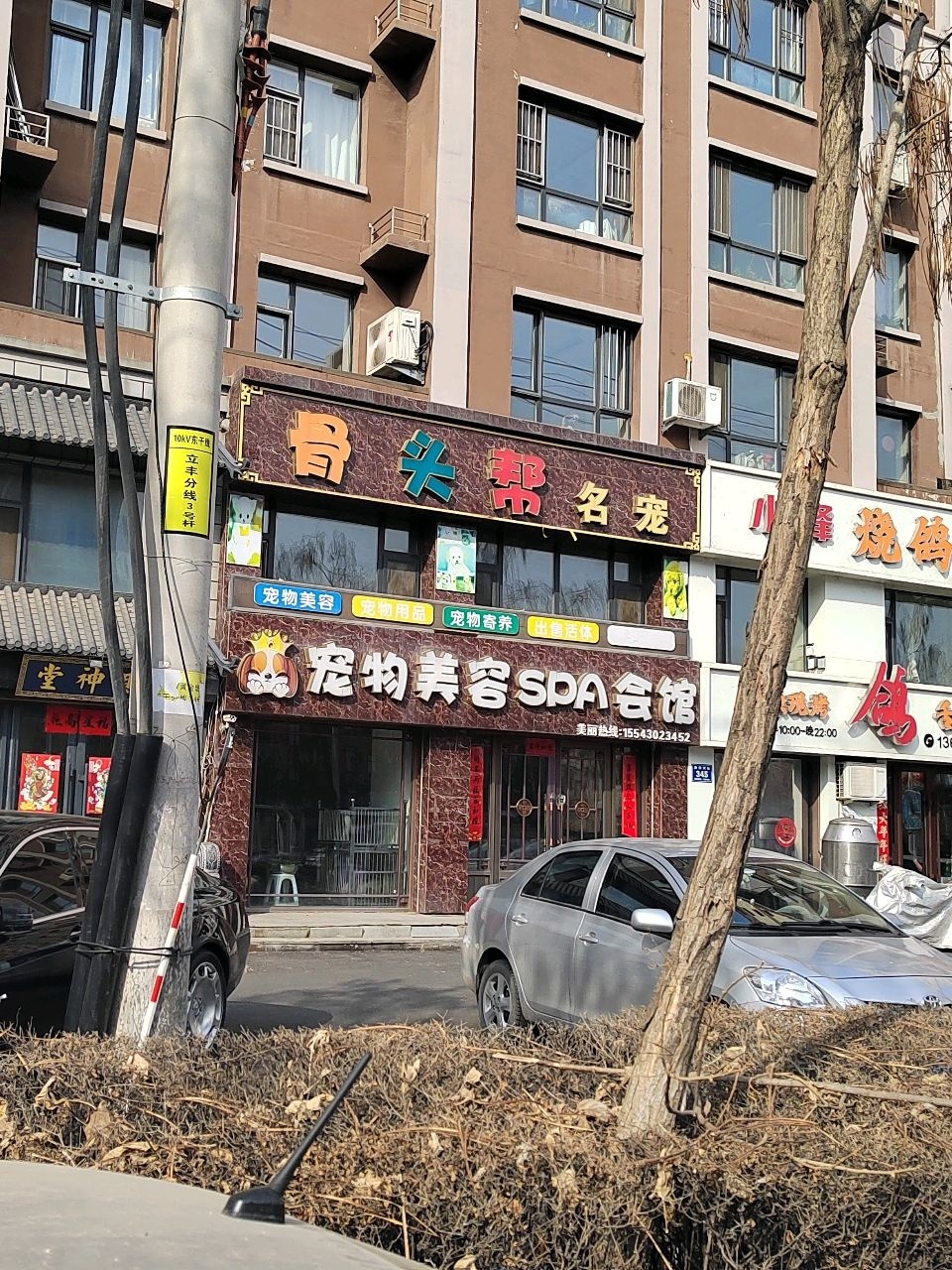 骨头帮名宠(新城国际店)