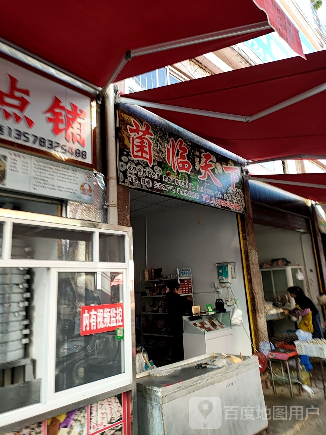 菌临家天下