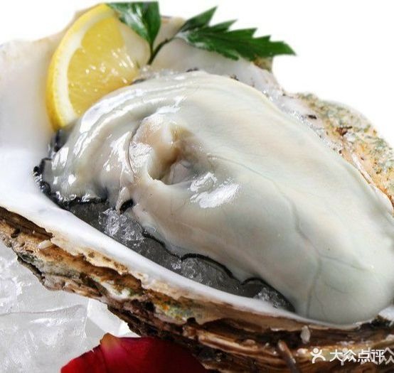 臻蚝夜未烊(大运城邦店)