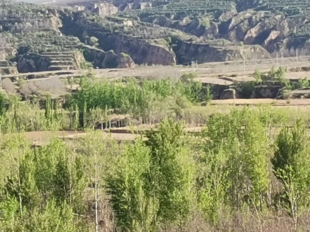 西兴庄村
