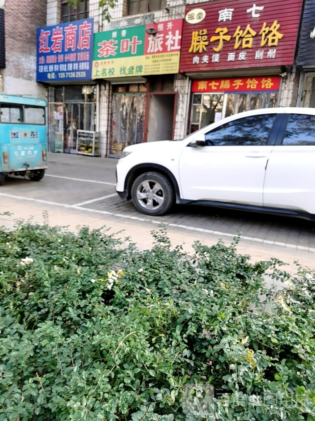 鲜香茶叶