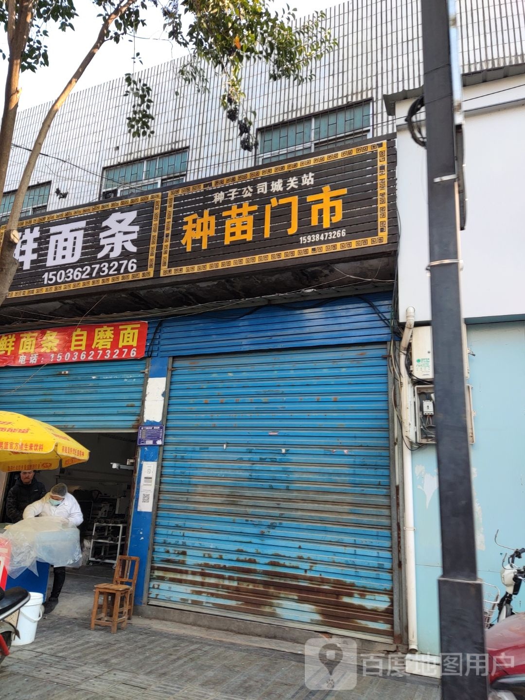 内乡县种苗门市