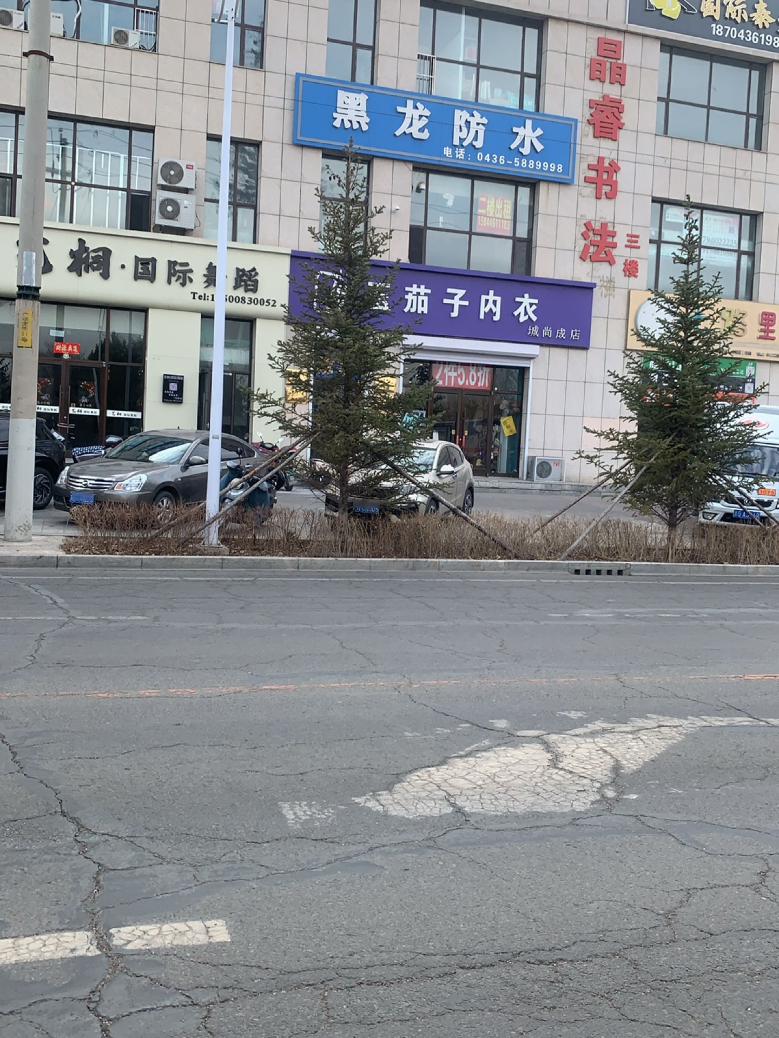 国际泰拳