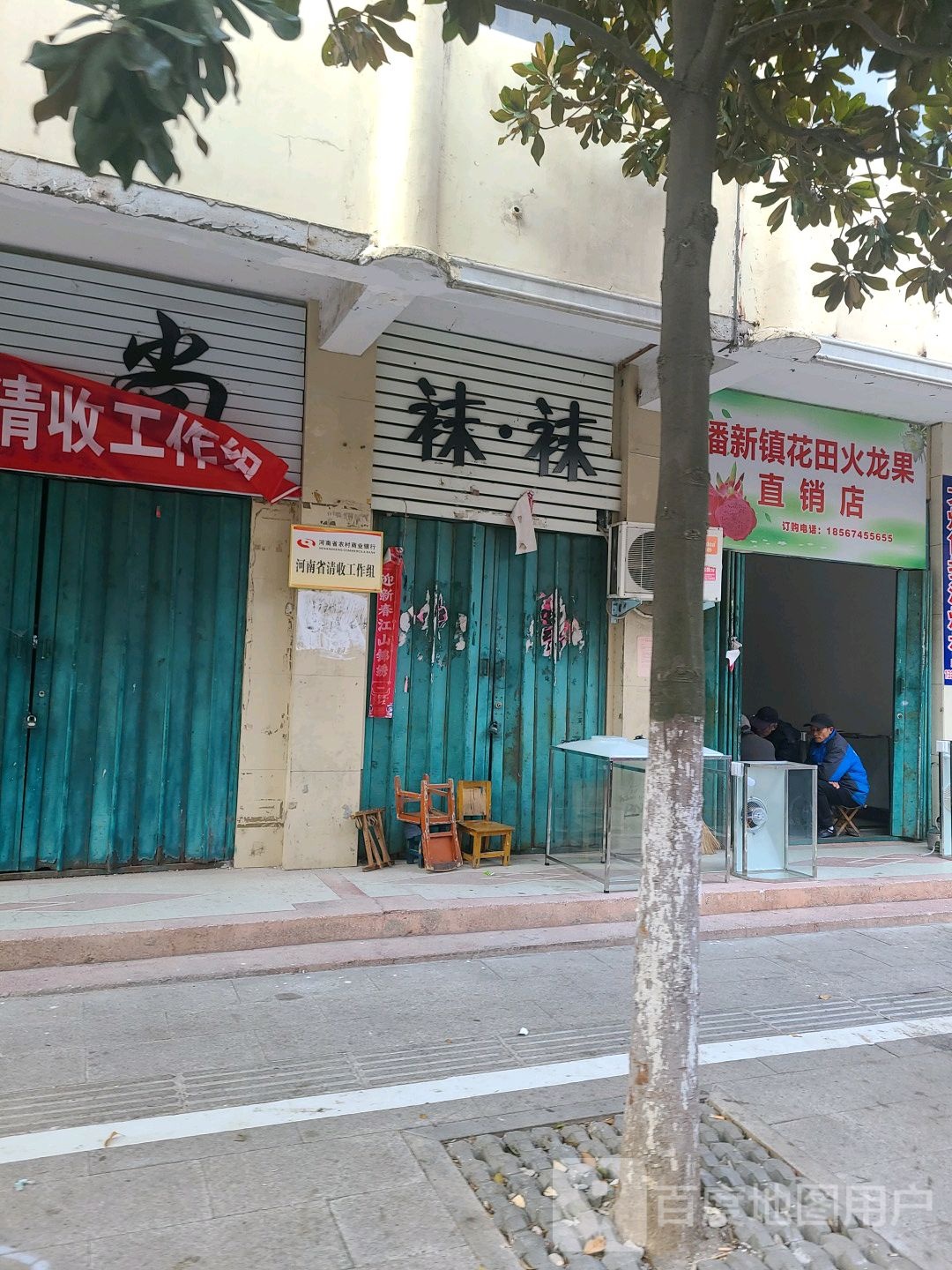 罗山县潘新镇花田火龙果直销店