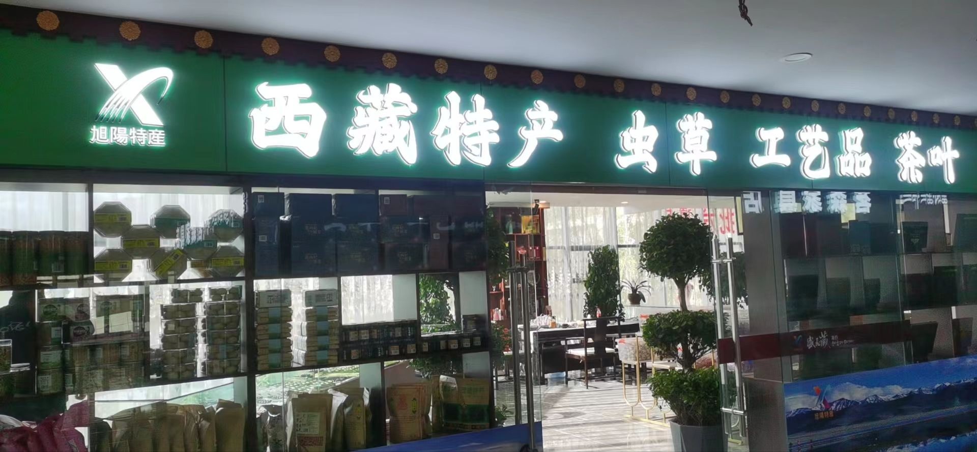 旭阳西藏特产虫草工艺品茶叶