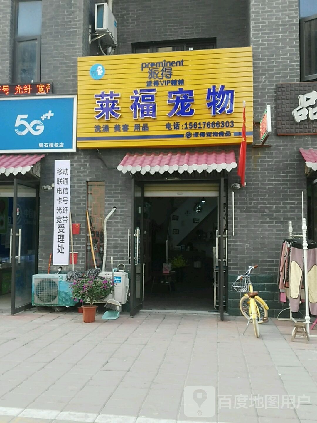 莱福宠物