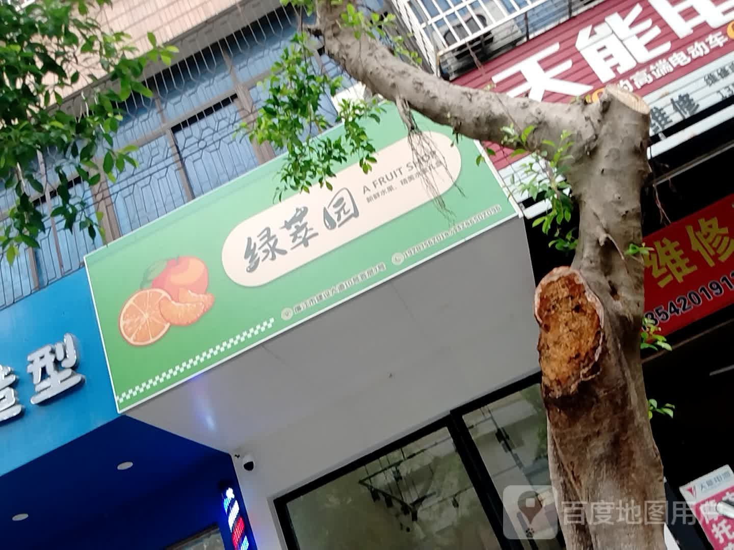 绿萃园水果店