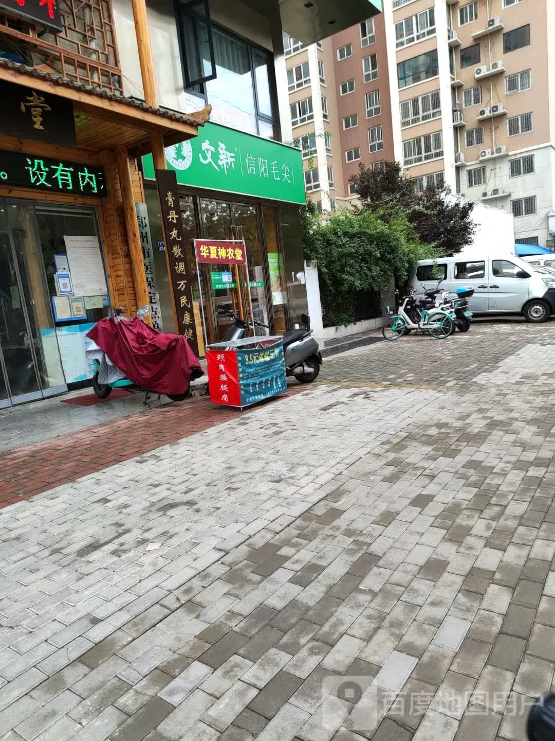 文新信阳毛尖(电厂路店)